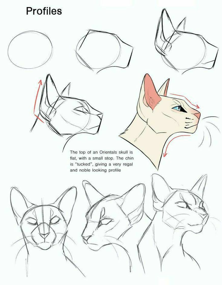 Fashion Dicas de desenhos - gatos