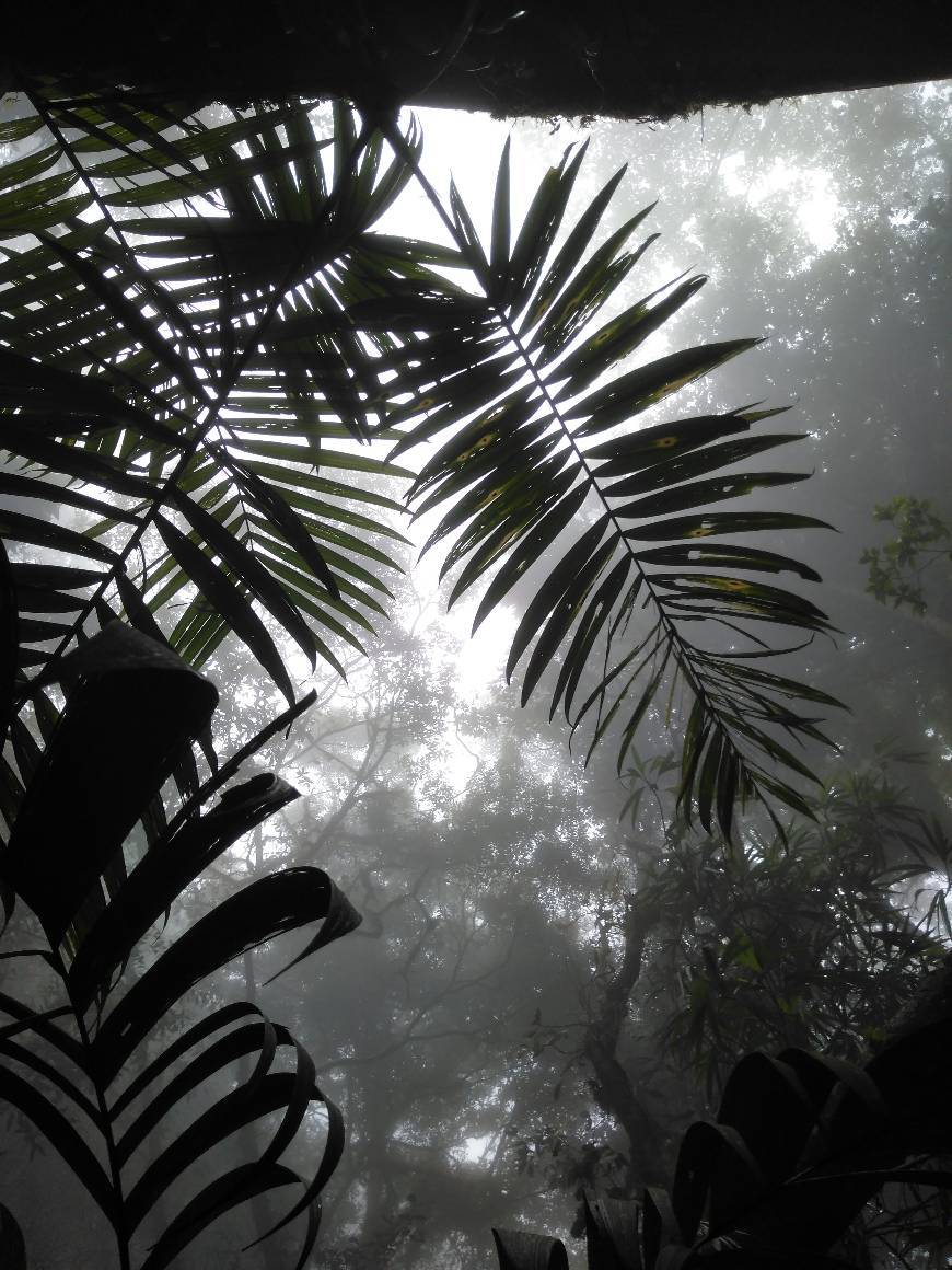 Place Cusuco National Park