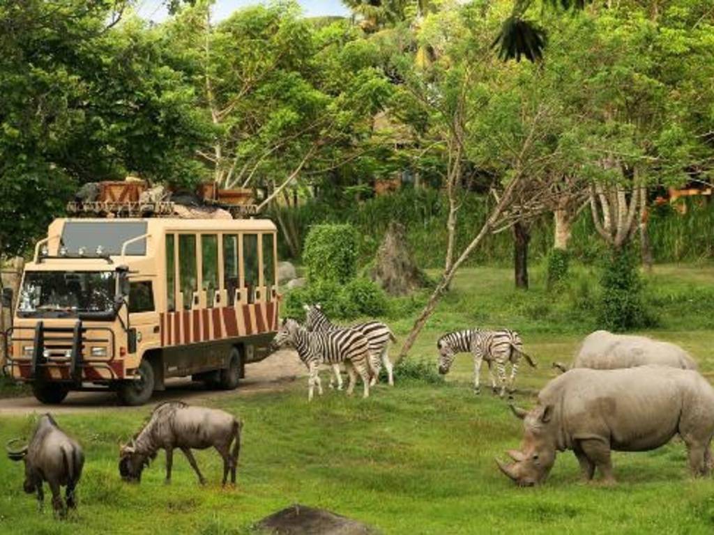 Lugar Bali Safari & Marine Park