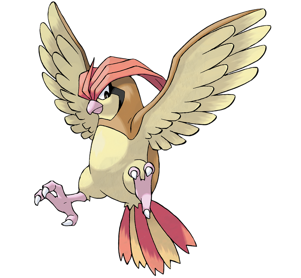 Moda Pidgeotto