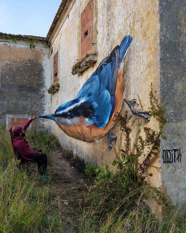 Moda Arte/grafite real