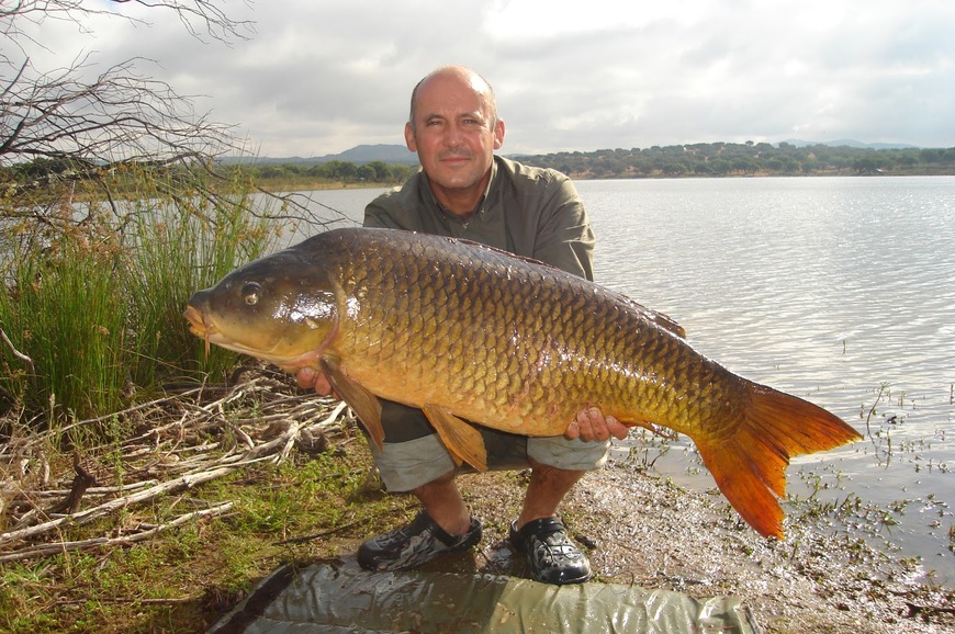 Moda Pesca desportiva carpa