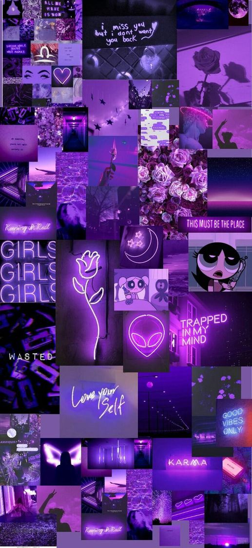 Social Purple 