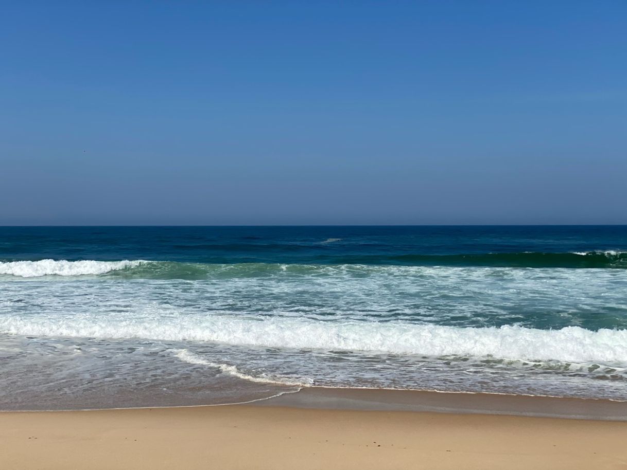 Place Passeios a Cavalo Melides