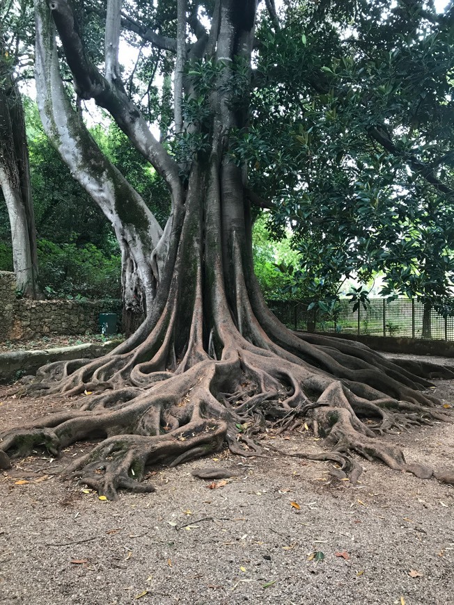 Lugar Jardins da Quinta das Lágrimas