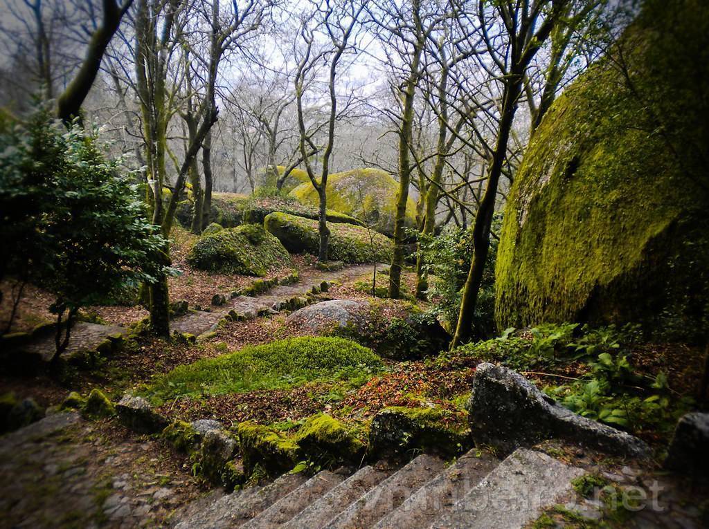 Lugar Parque da Penha