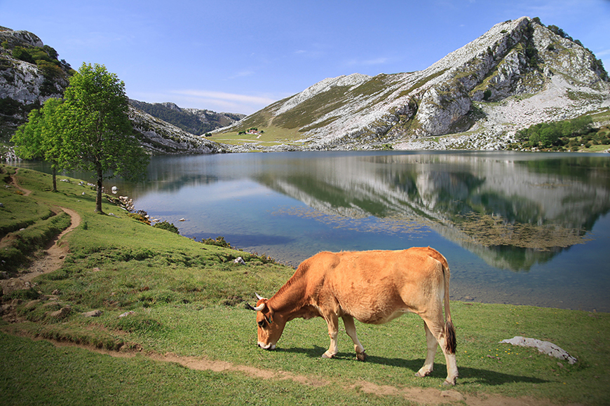 Place Lagos Covadonga