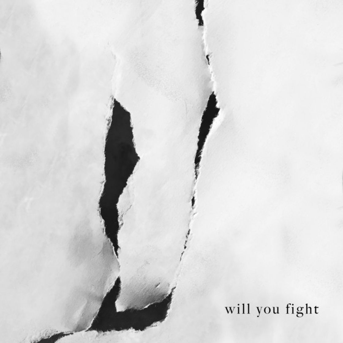 Music Will You Fight