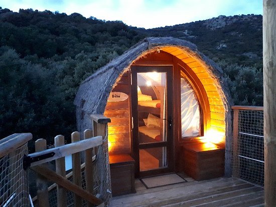Place Cabañas en los árboles Monte Holiday Ecoturismo