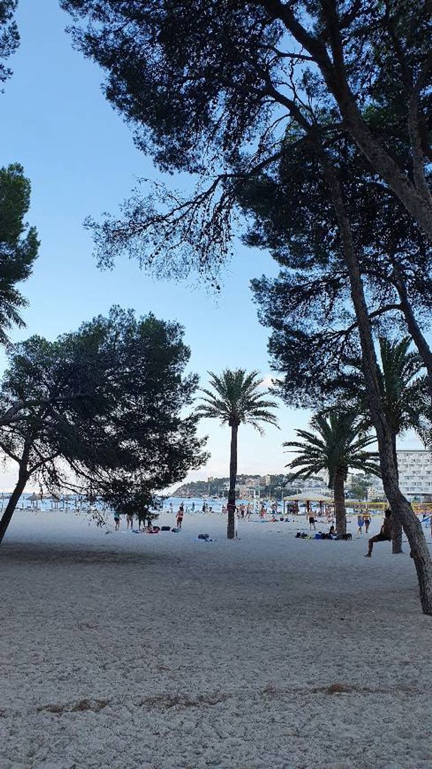 Place Playa de na Nadala