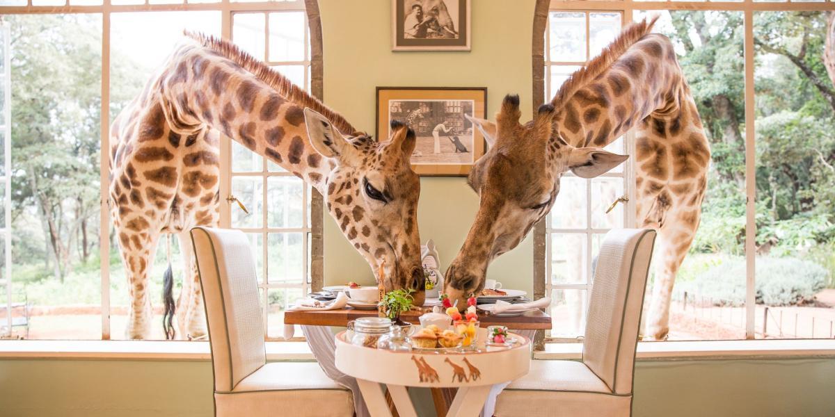 Lugar Giraffe Manor