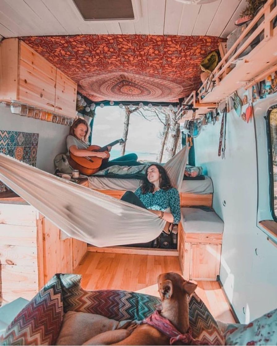 Fashion Motorhome 🍃