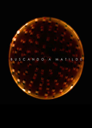Movie Buscando a Matilde