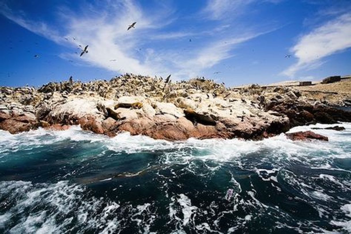 Place Islas Ballestas