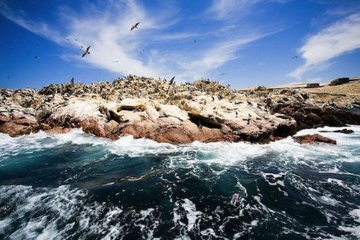 Islas Ballestas