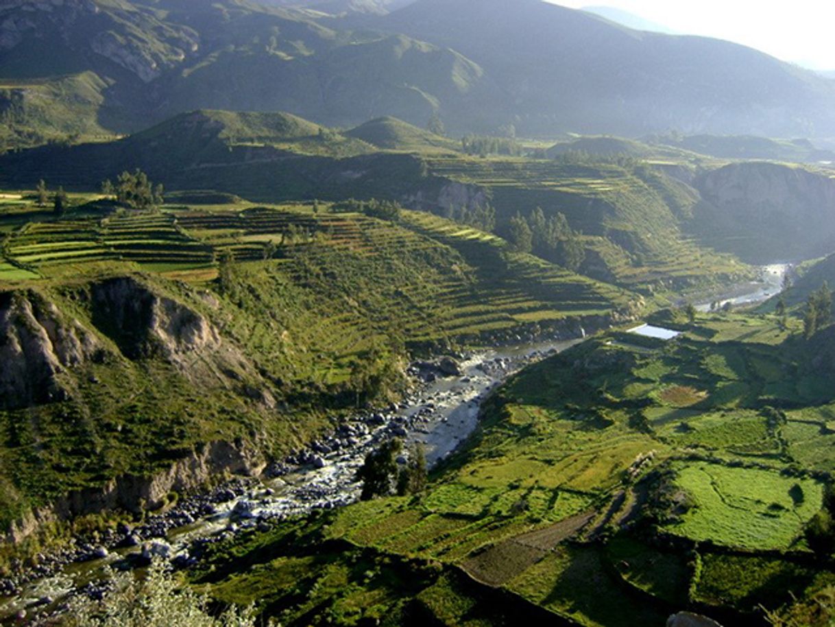 Lugar Cañón del Colca