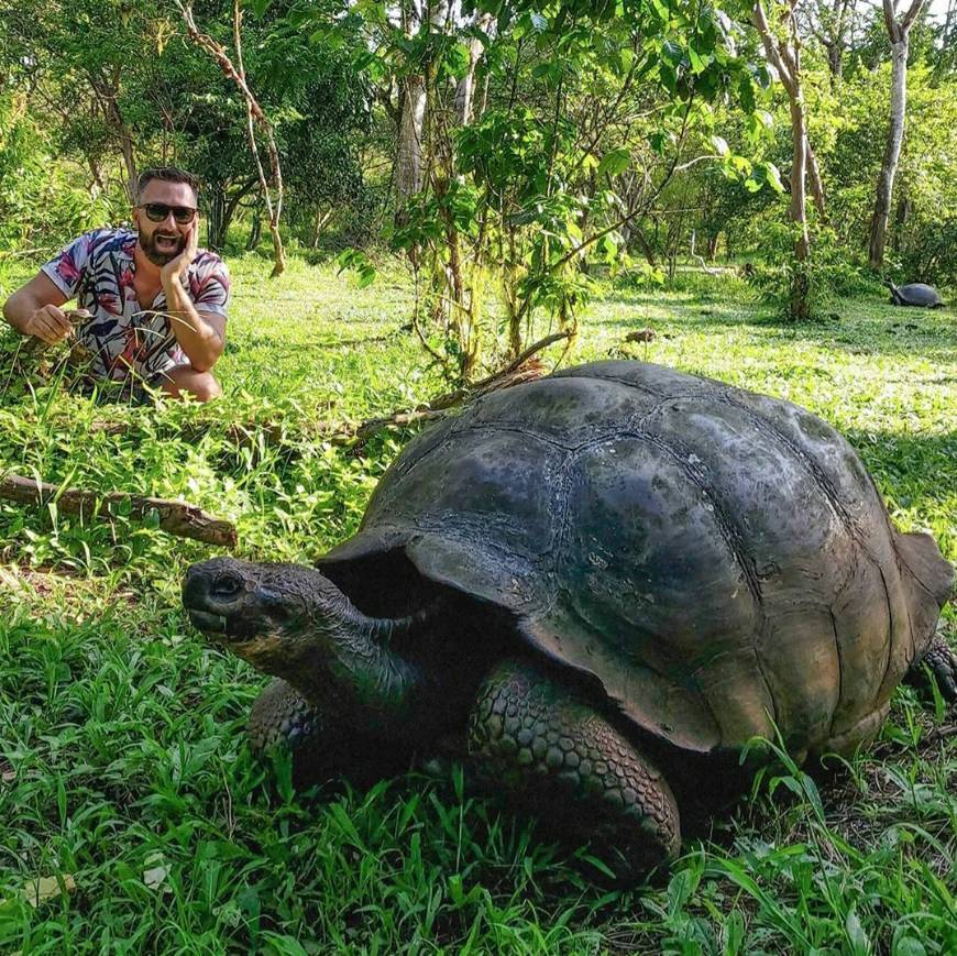 Lugar Rancho Primicias - Giant Tortoise Reserve