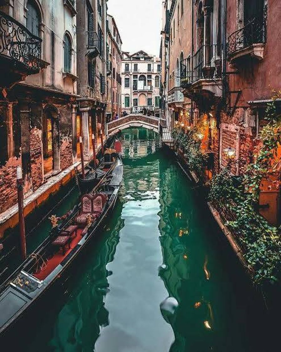 Place Venecia
