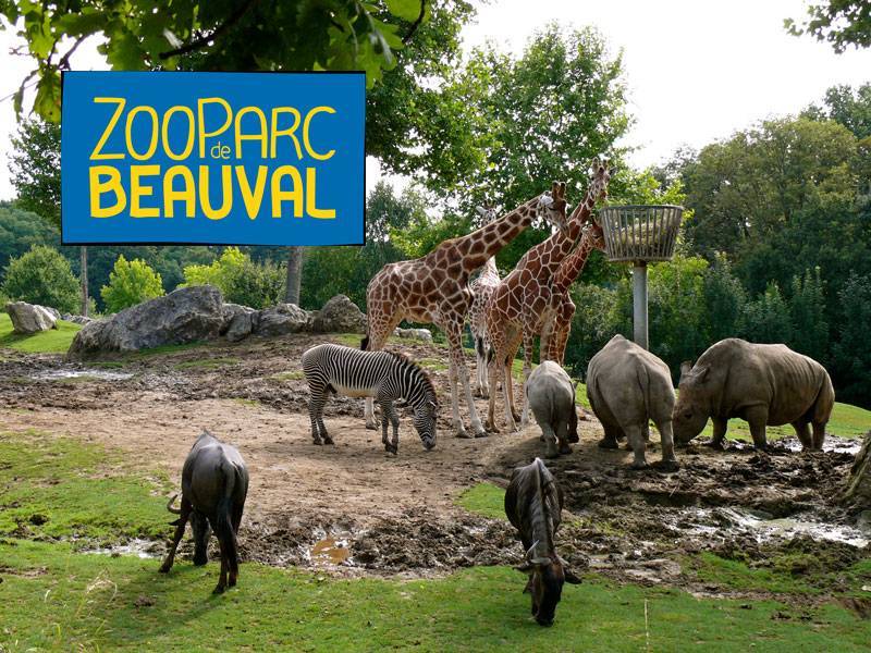 Place Zoo