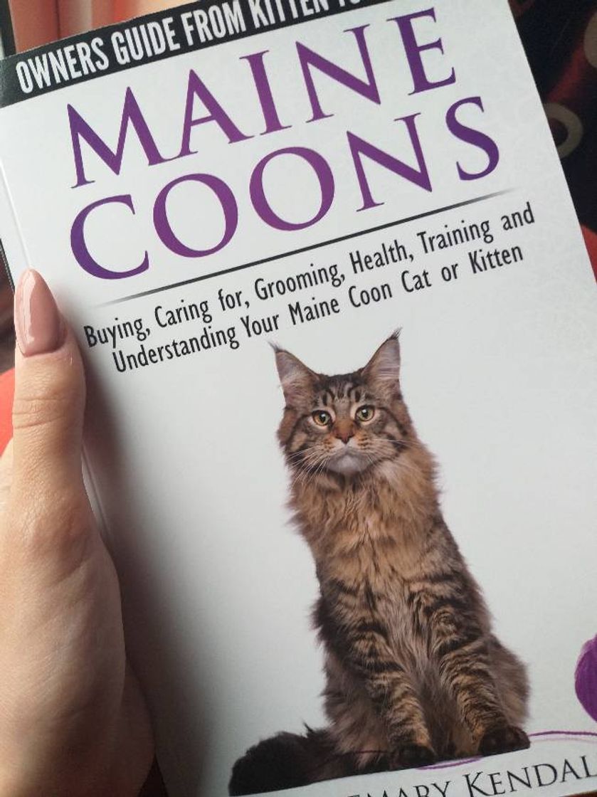 Moda Maine Coon Cats - The Owners Guide From Kitten To Old Age - 