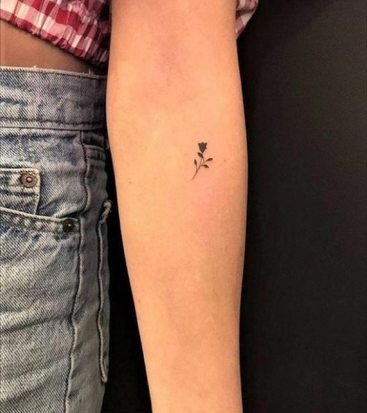 Social 🥀 🥀 🥀 🥀 🥀 🥀 🥀 🥀 🥀 