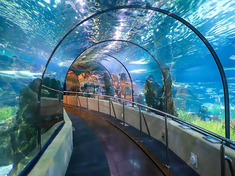 Lugar Aquarium de Barcelona Barcelona