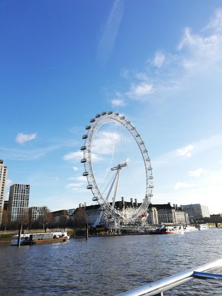 Place London Eye