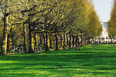 Place Green Park