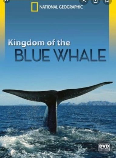 Watch Kingdom of the Blue Whale | Disney+