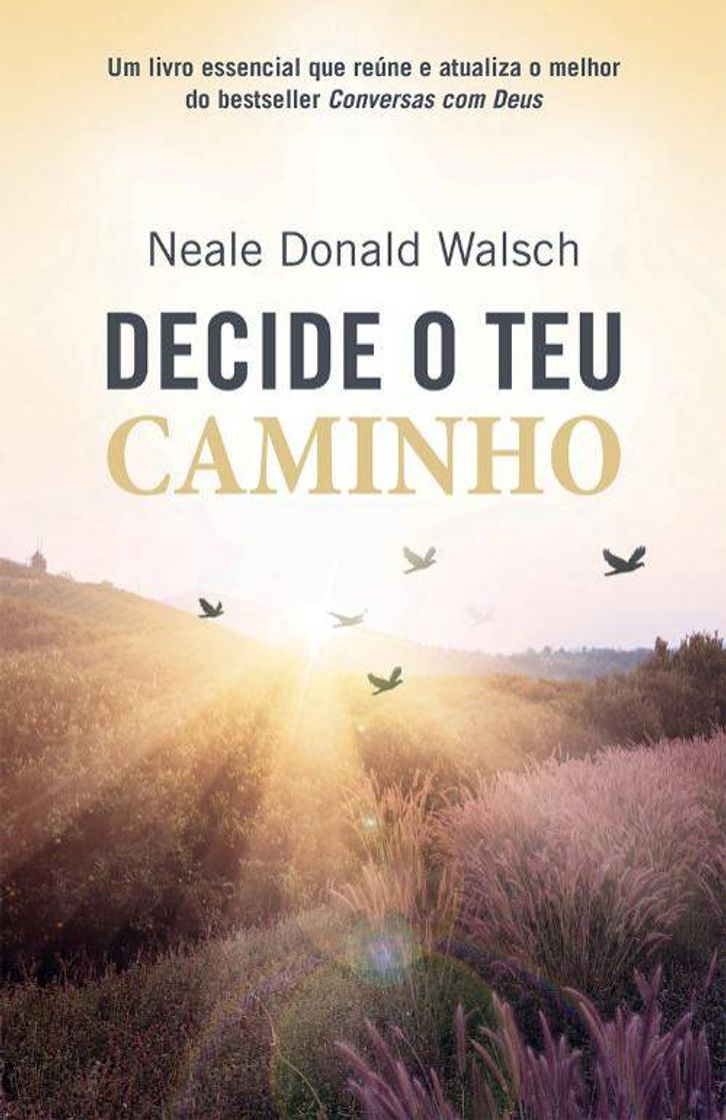 Book Decide o teu Caminho - Livro