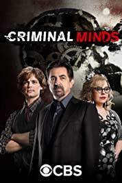 Serie Mentes criminales