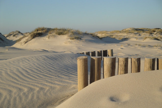 Place Reserva Natural das Dunas de São Jacinto