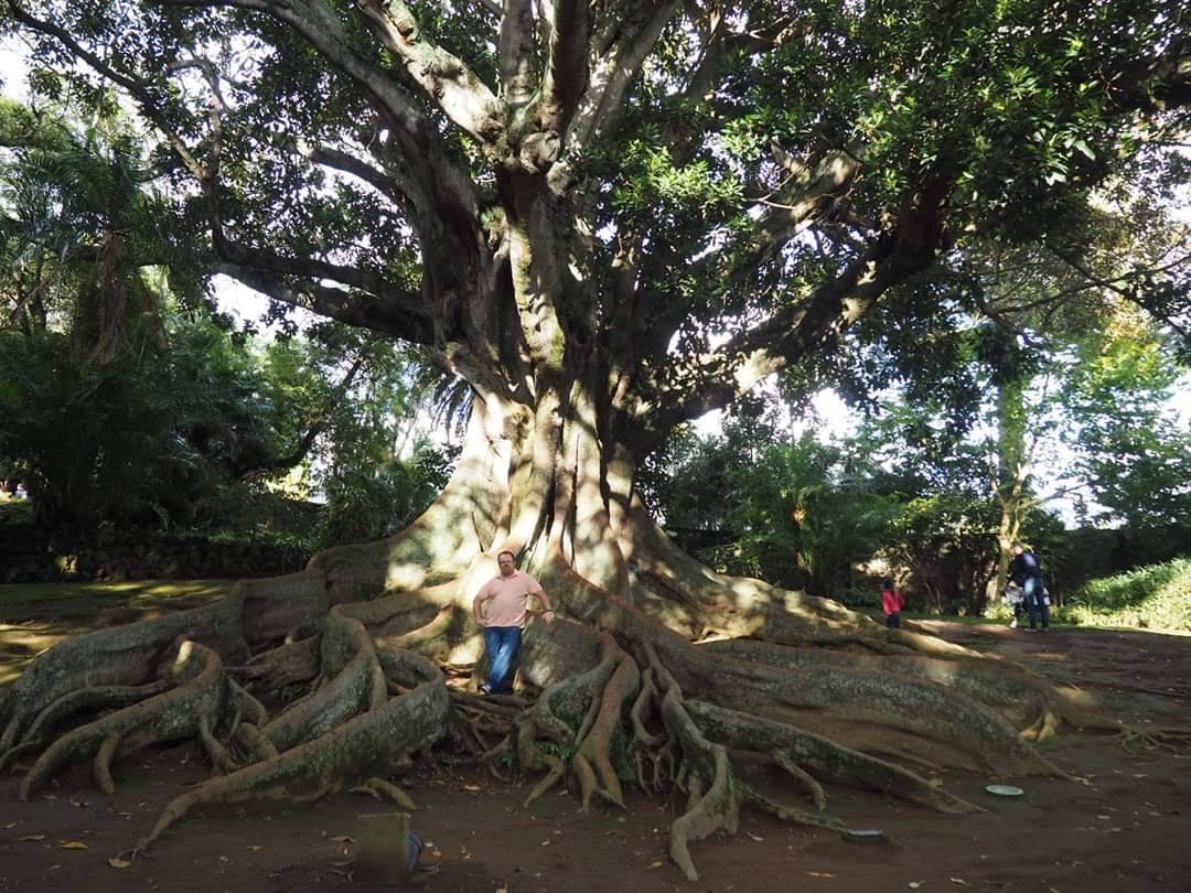 Place Jardim António Borges