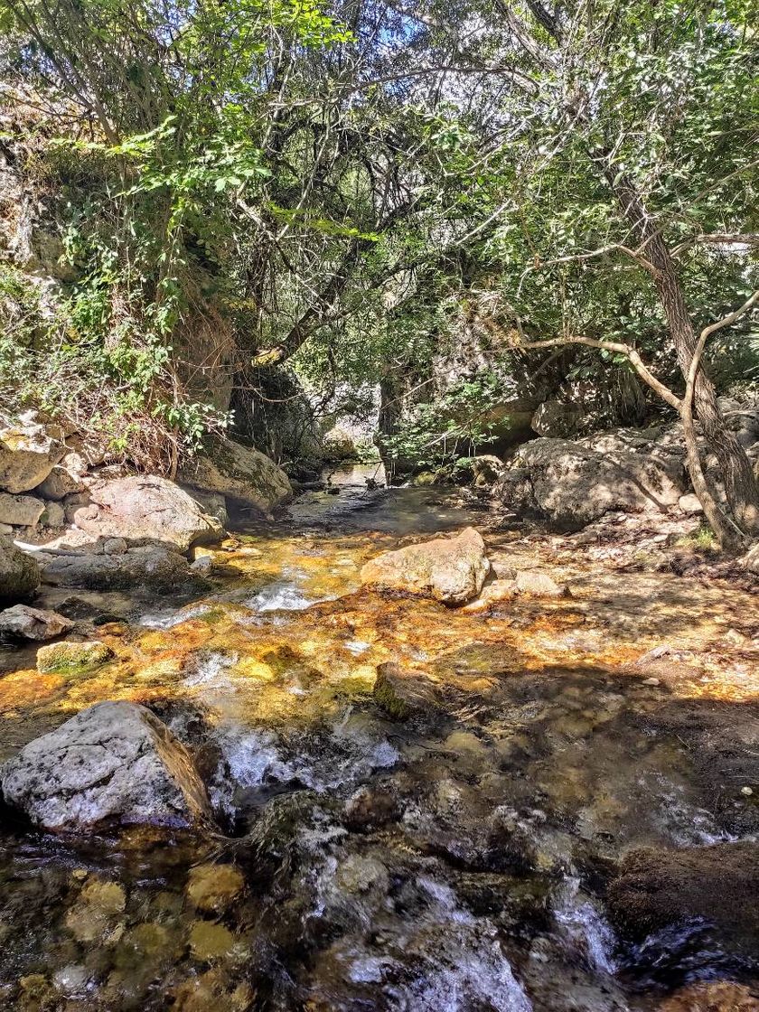 Lugar Embalse de Aguas Negras. Nacimiento Río Borosa