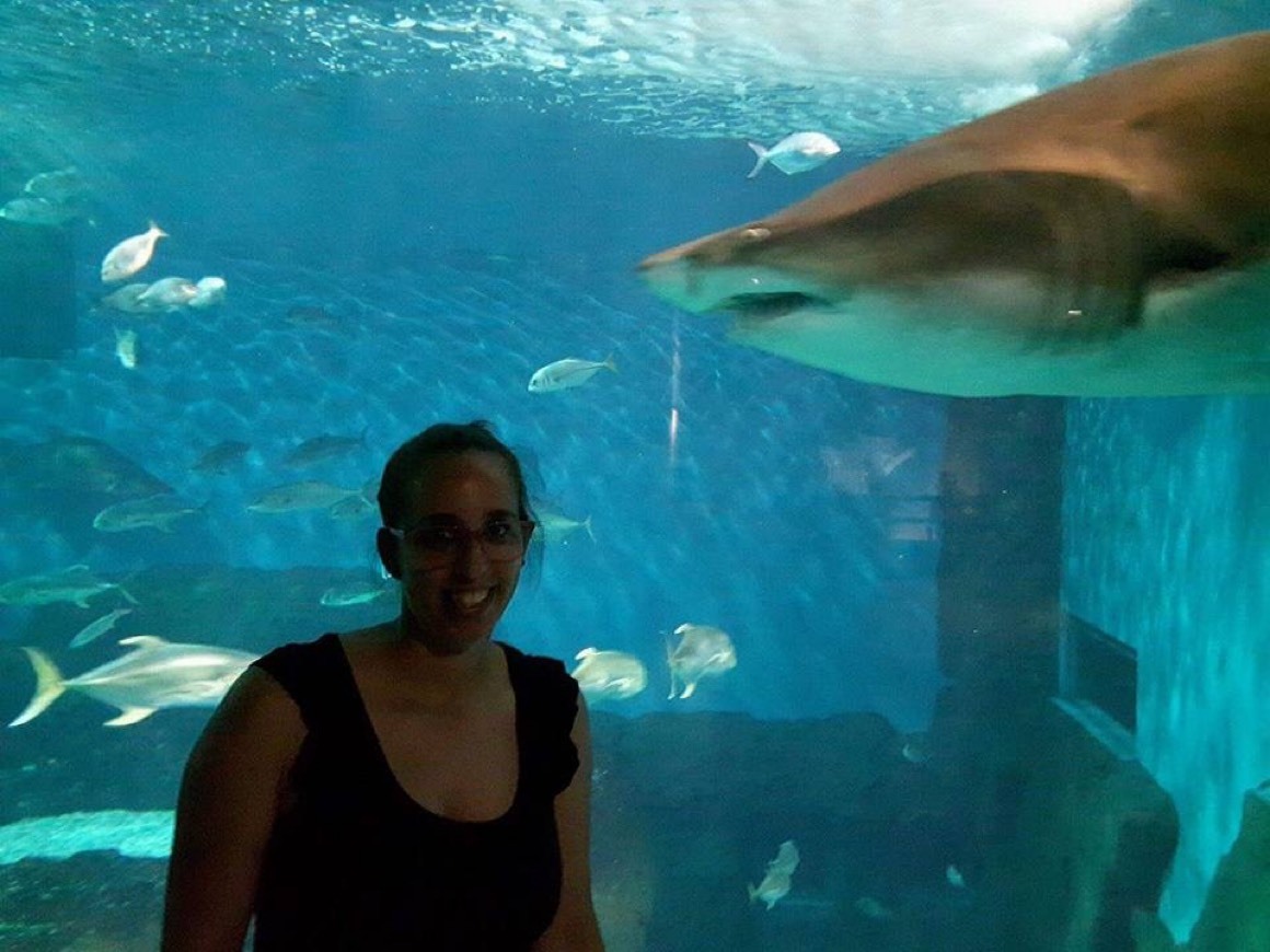 Lugar Acuario Sevilla