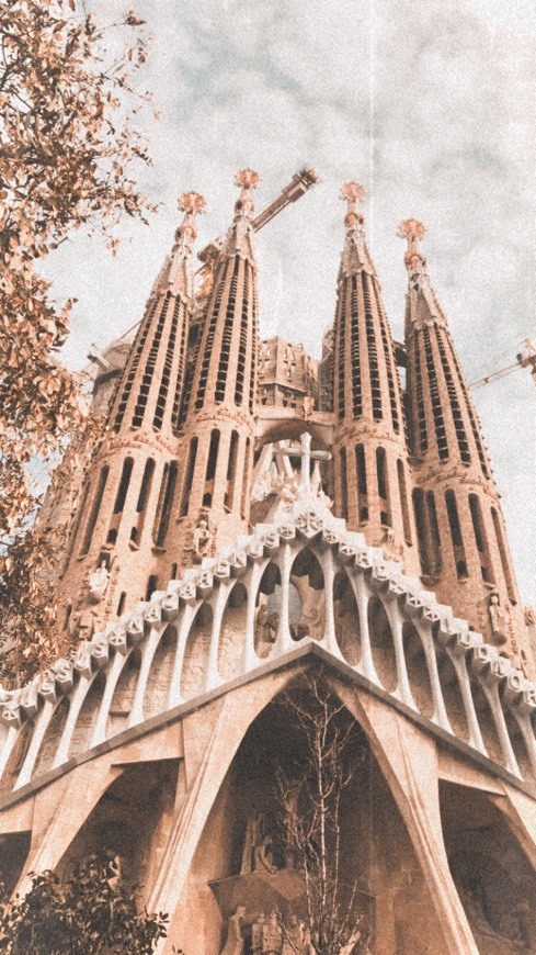 Lugar Basílica Sagrada Familia