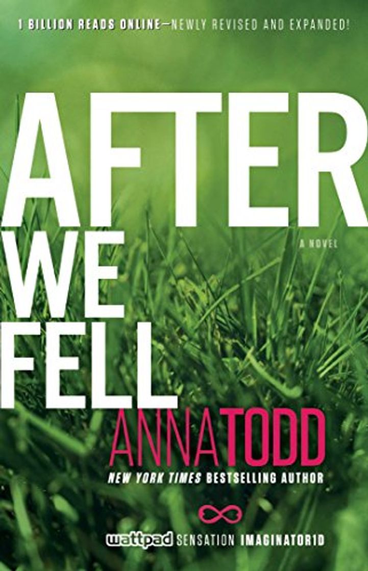 Book After We Fell
