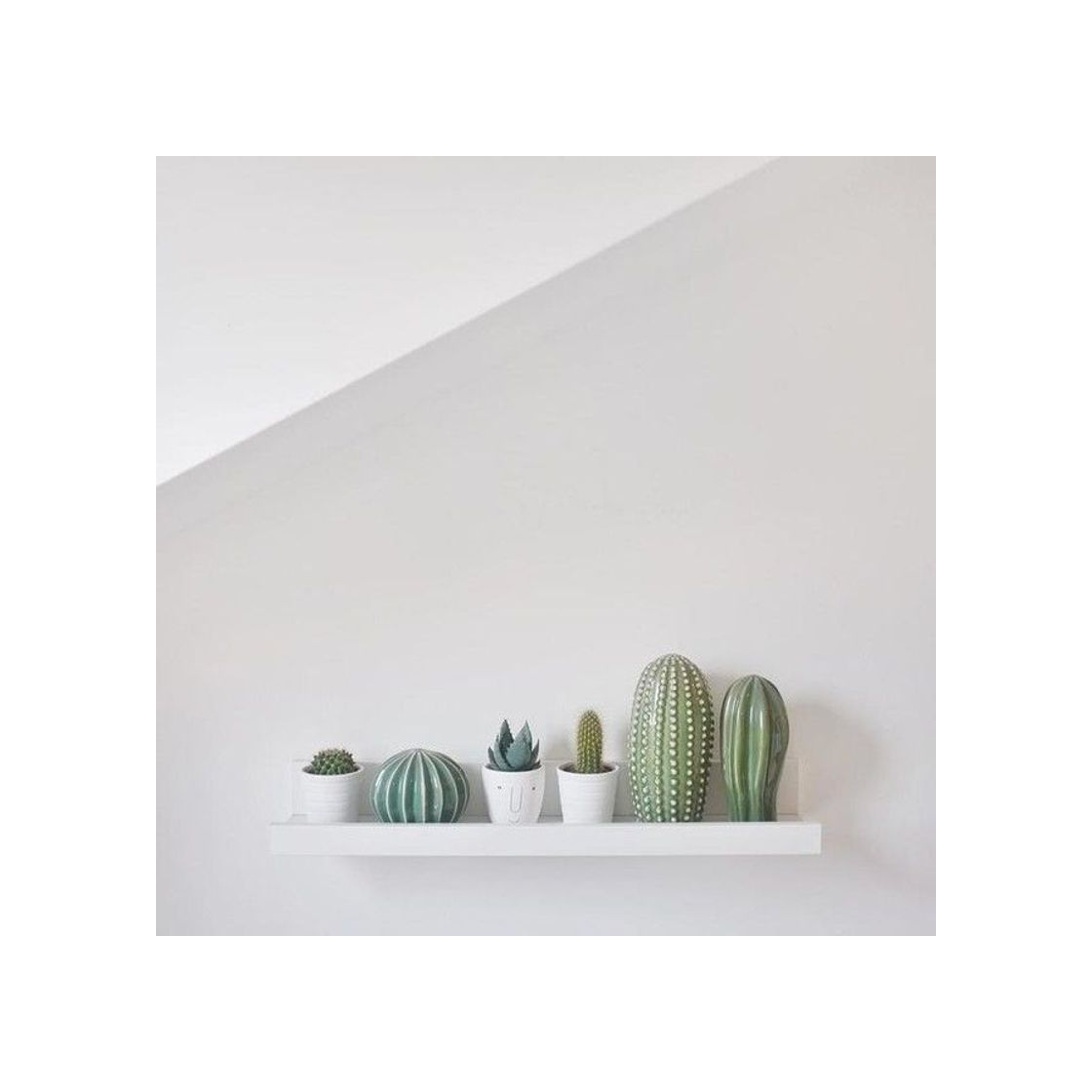 Producto SJÄLSLIGT Cactus