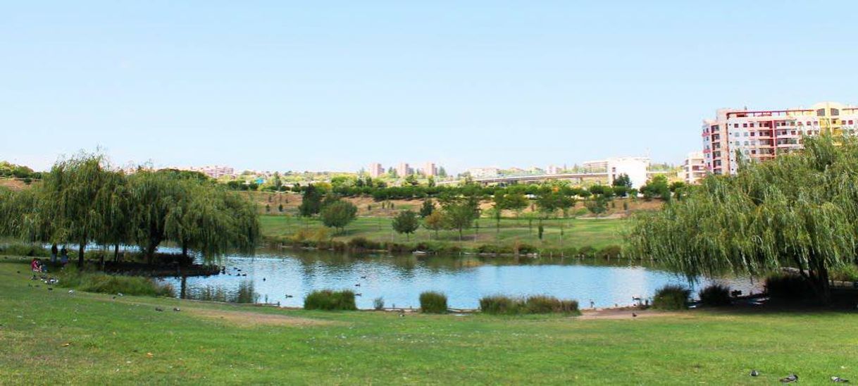 Parque de Enrique Tierno Galván