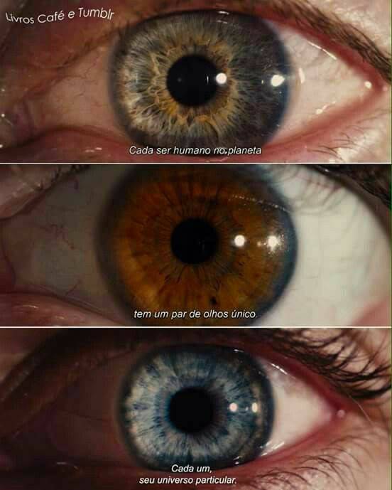 Frases