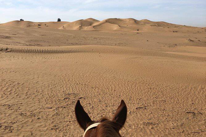 Lugares Passeio no deserto