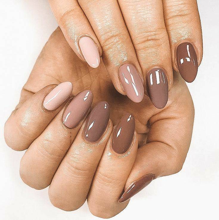 UNHAS 