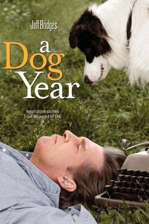 Película A Dog Year