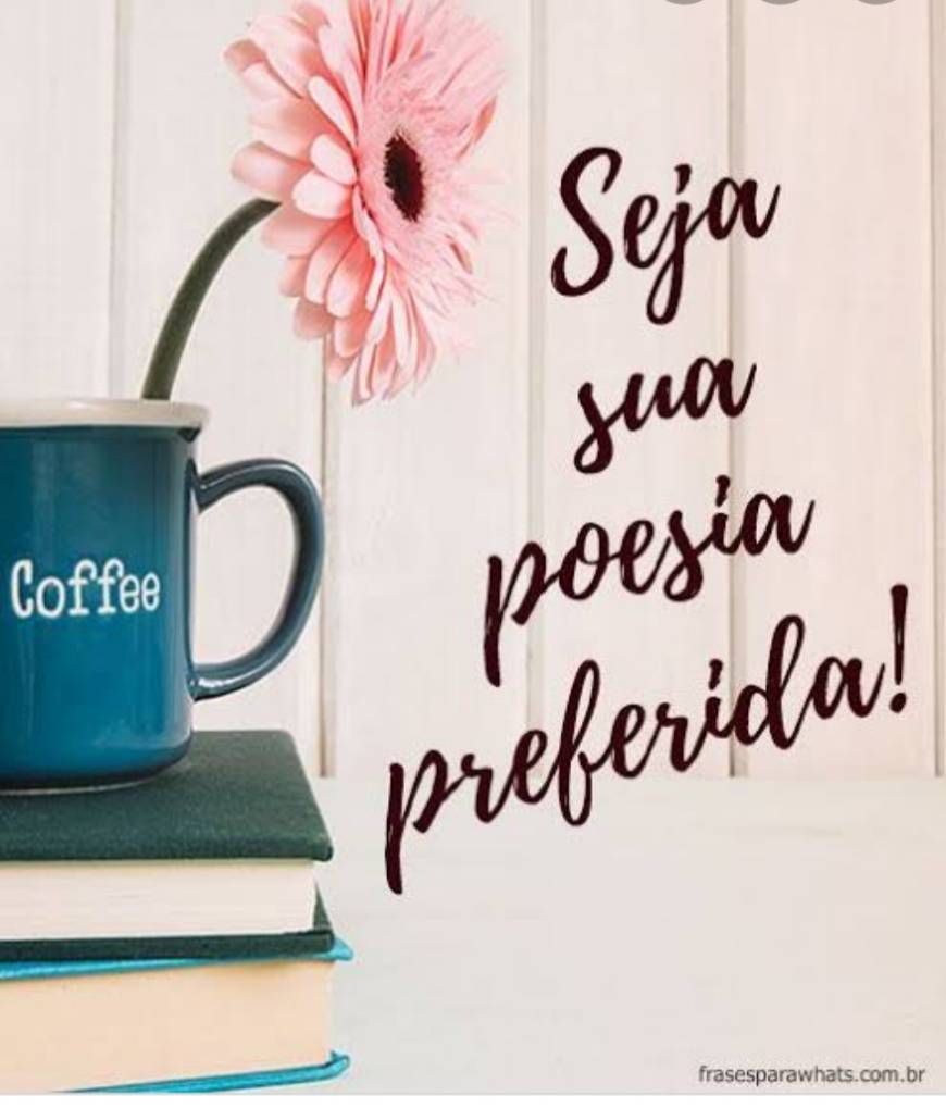 Status para foto