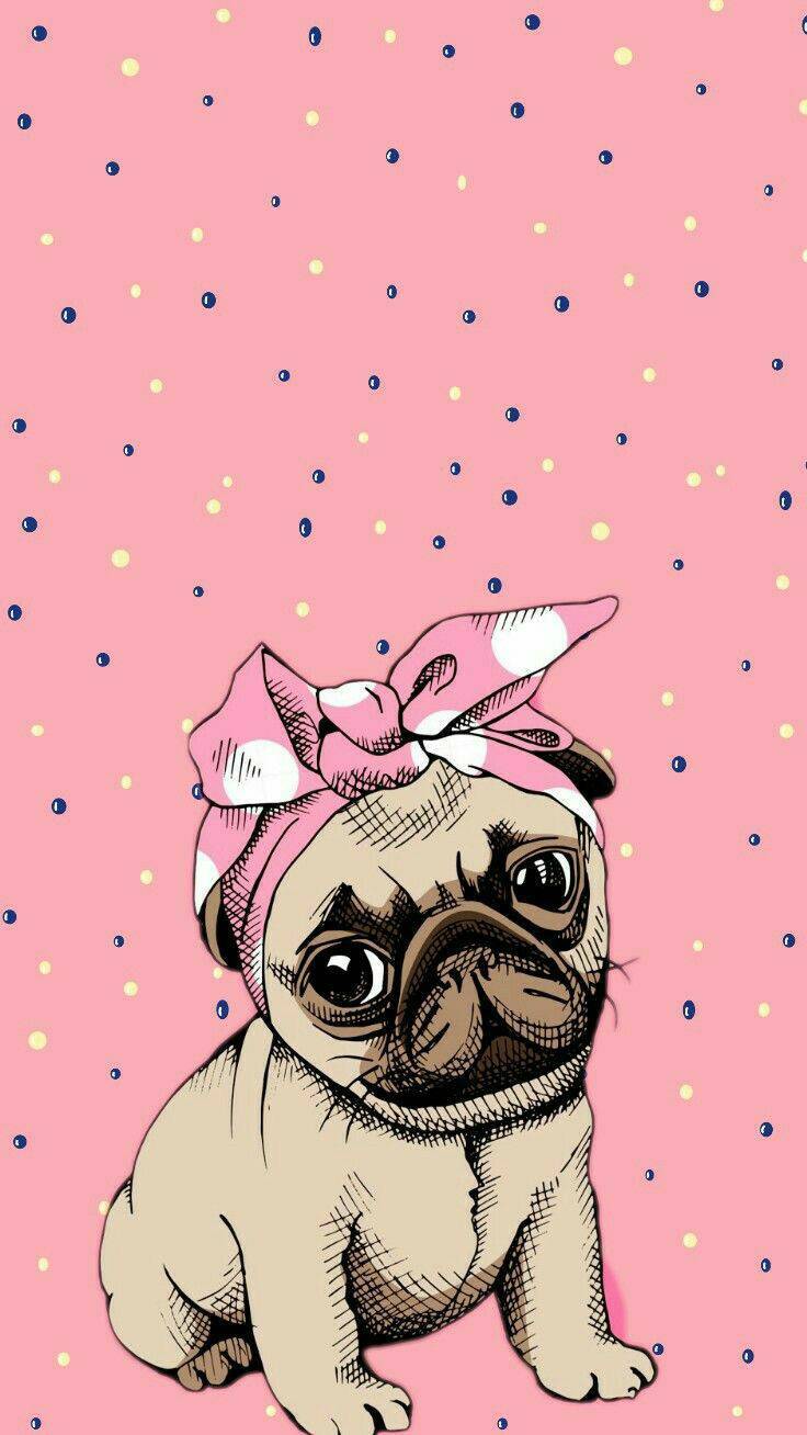 Social Wallpaper 🐶