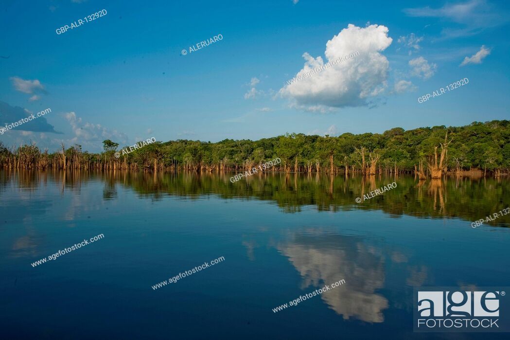 Place Amazonia