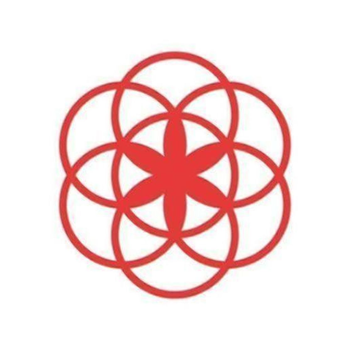 App Clue Period & Cycle Tracker