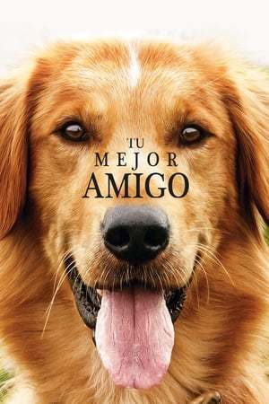 Película Tu mejor amigo