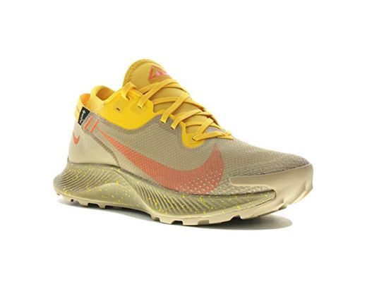 Nike Pegasus Trail 2 Gore-Tex