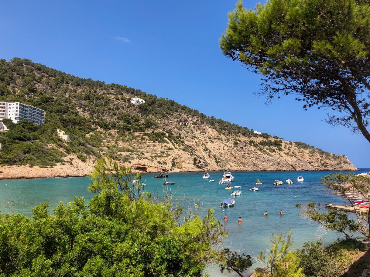 Place Cala Llonga